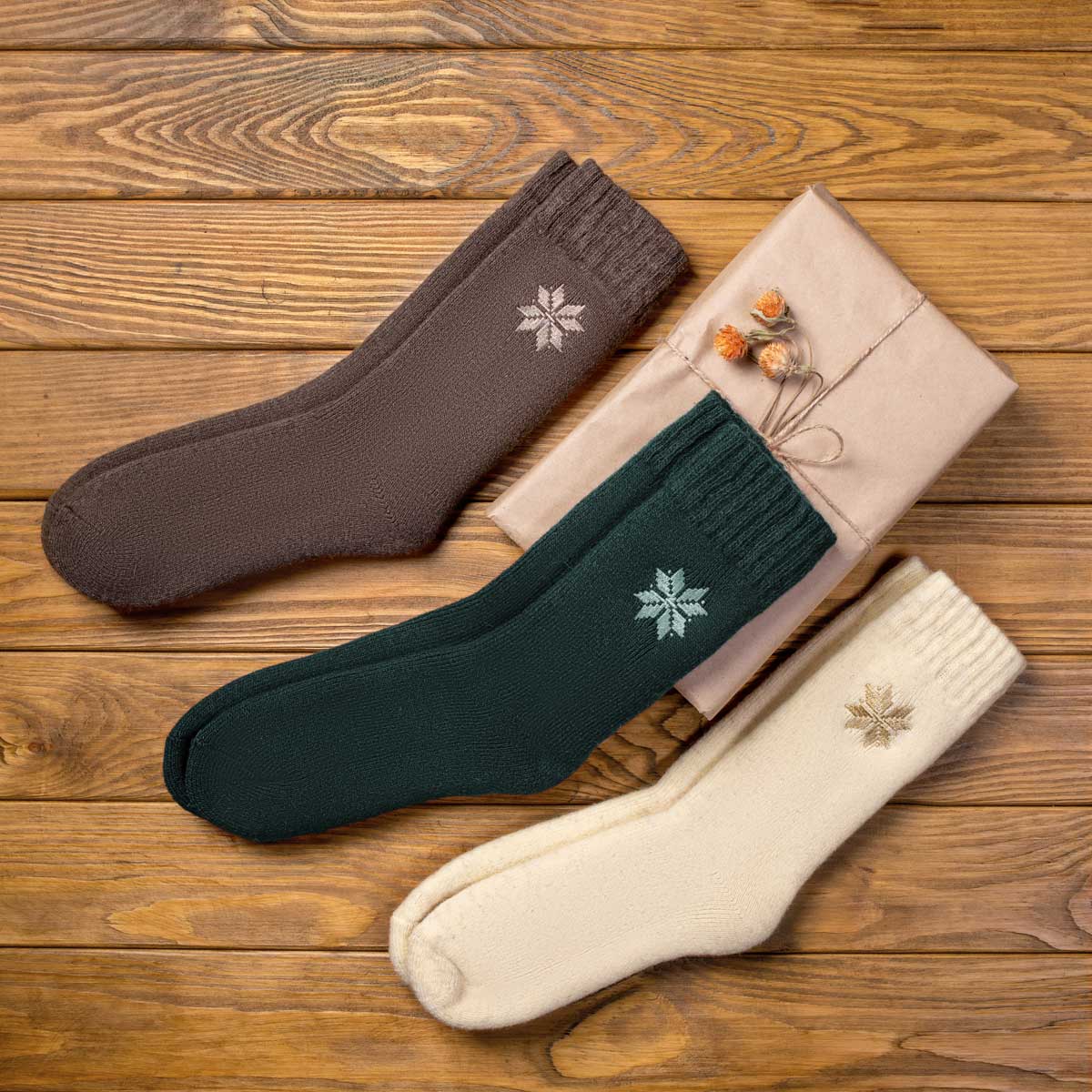 Earth (3 pairs) Nordic Socks AU